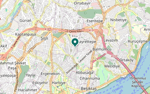 Map of the area around Istanbul · Besiktas
